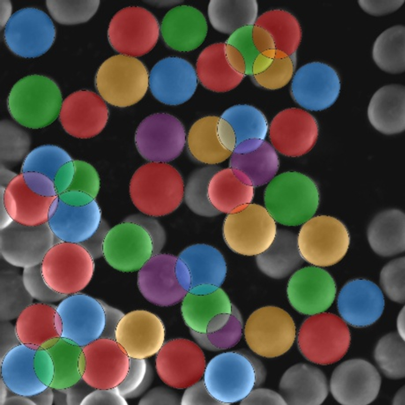 Explore Particles